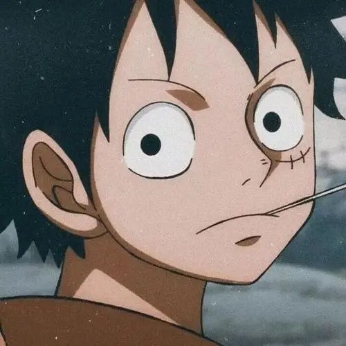 懂车小苏