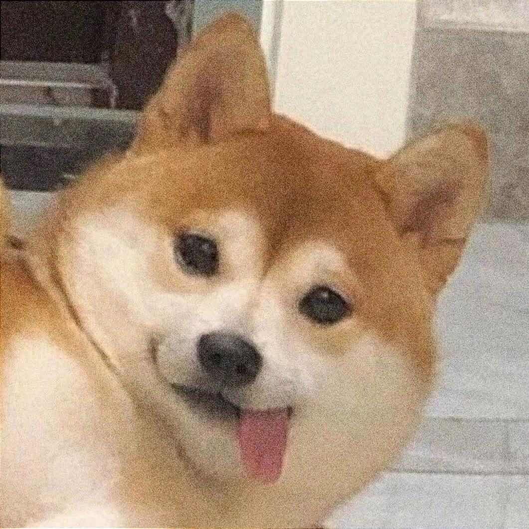 冷酷小狗L