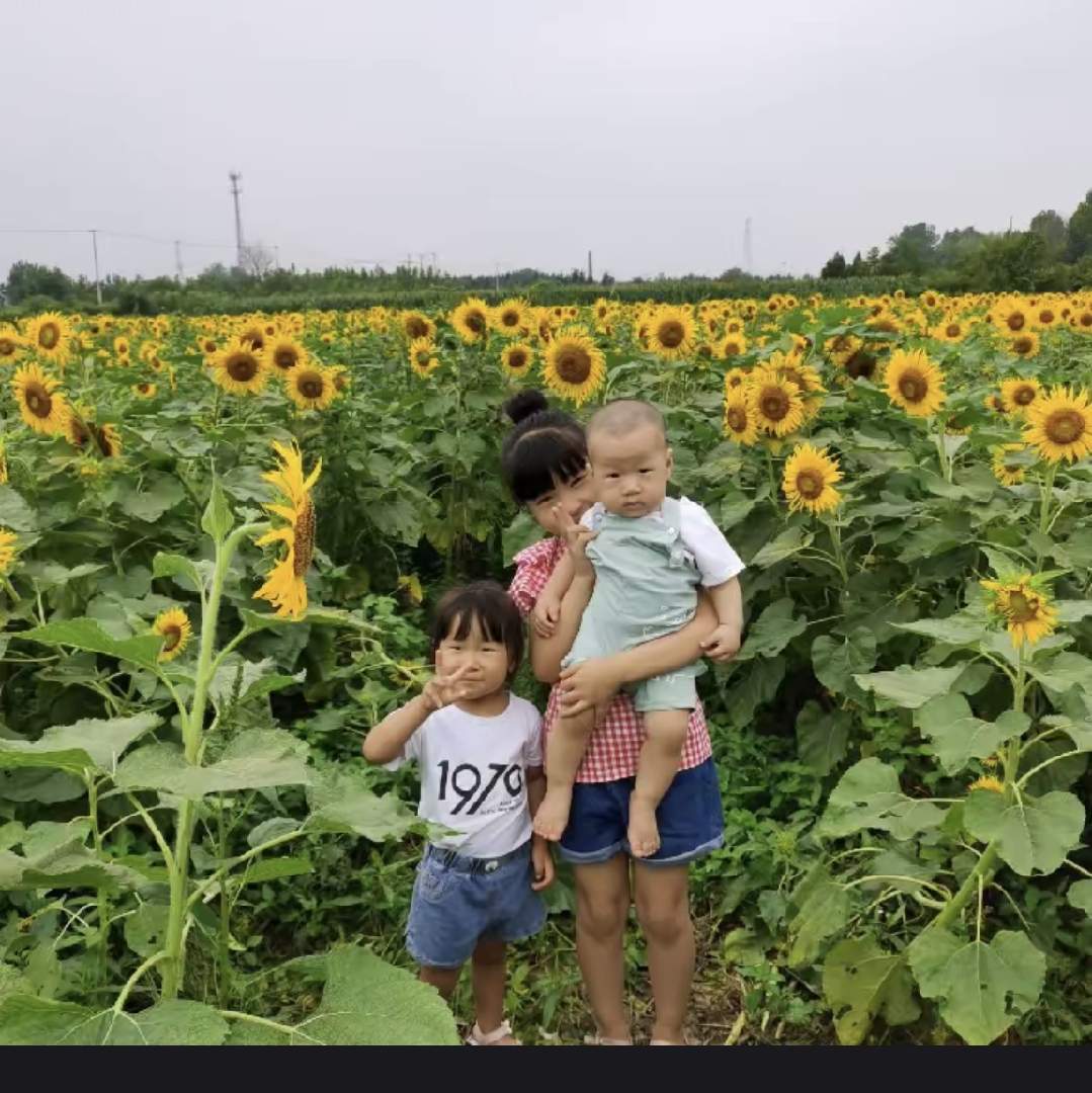 老大老二小老三原创