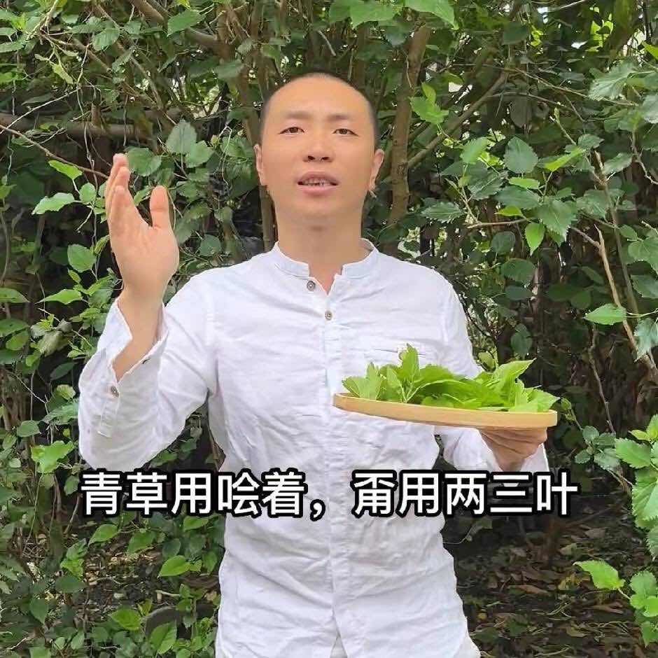 潮汕青草-柯校
