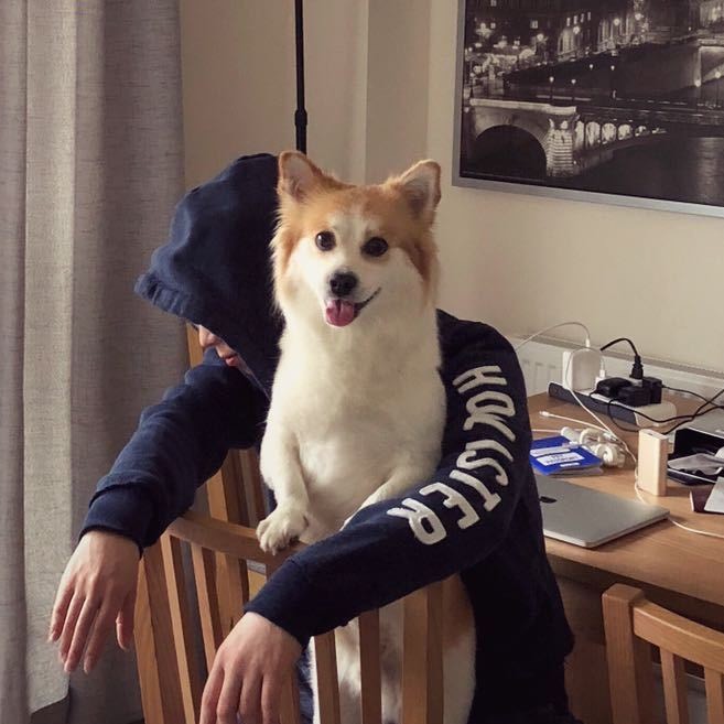 棍哥的温柔香