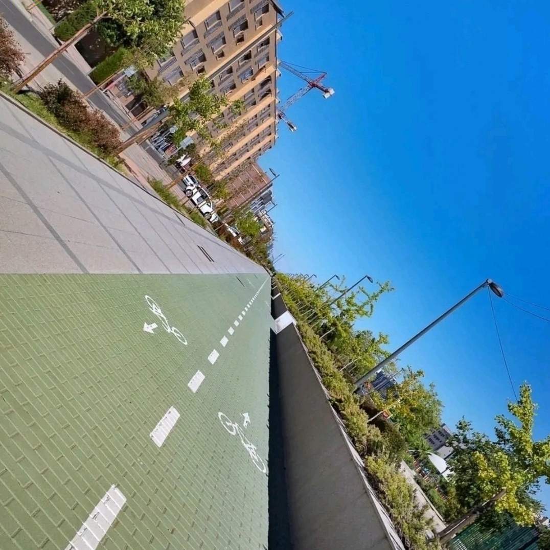 老实人聊体育