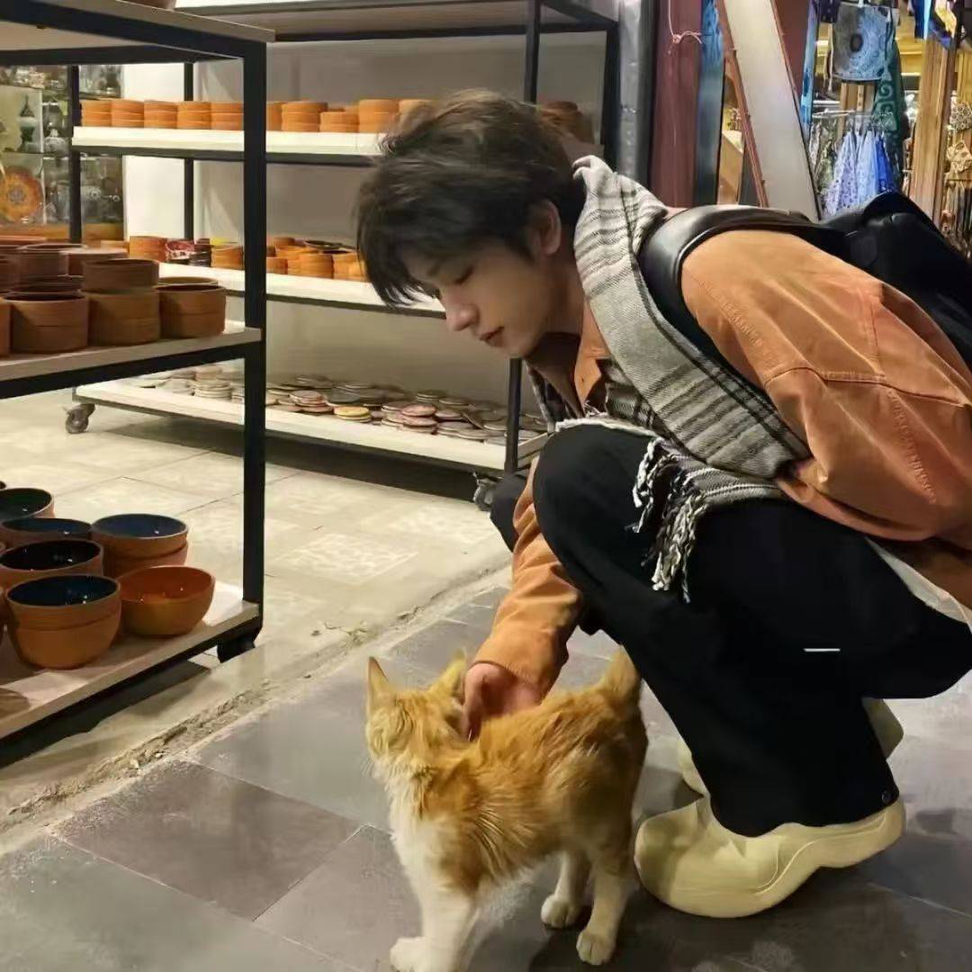 裡清照