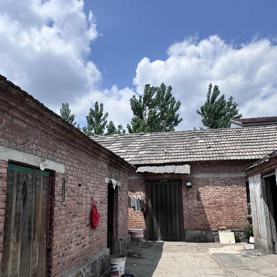 小五在乡村