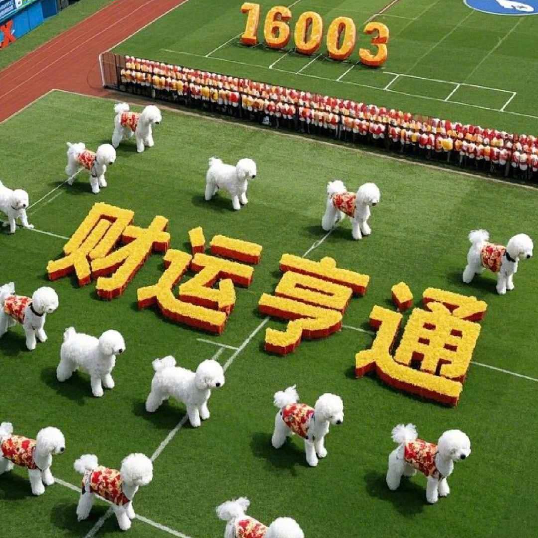 鎏金好运