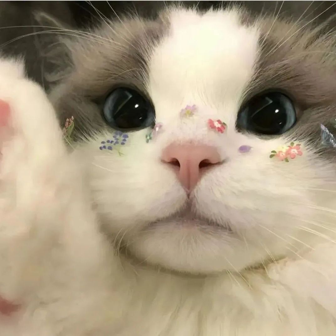 多乐乐乐乐1596.