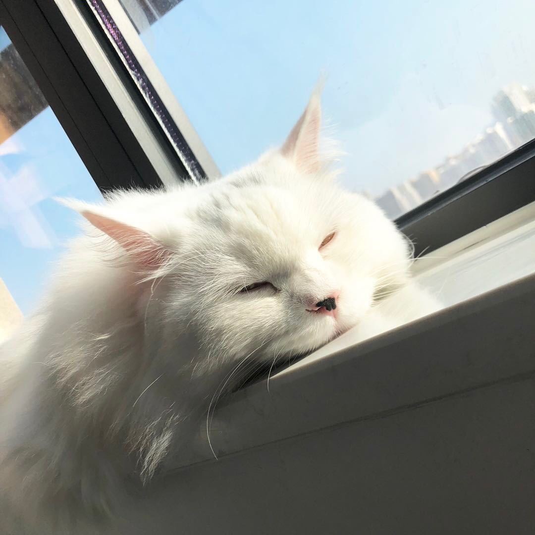 陈林1212