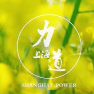 上海力道