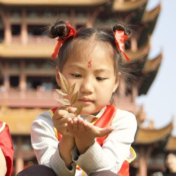 滑步小虎鲸