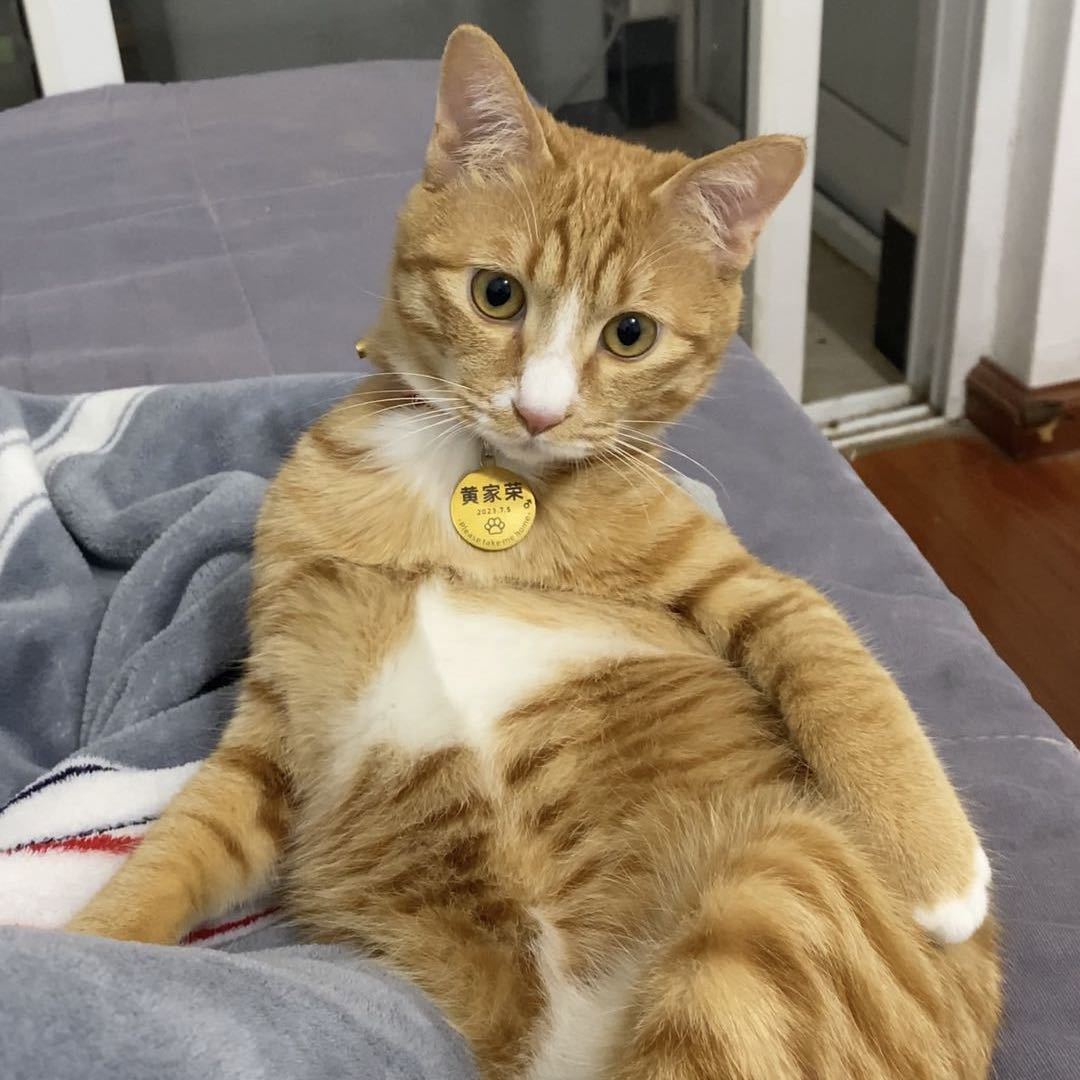 荣哥的生活日记