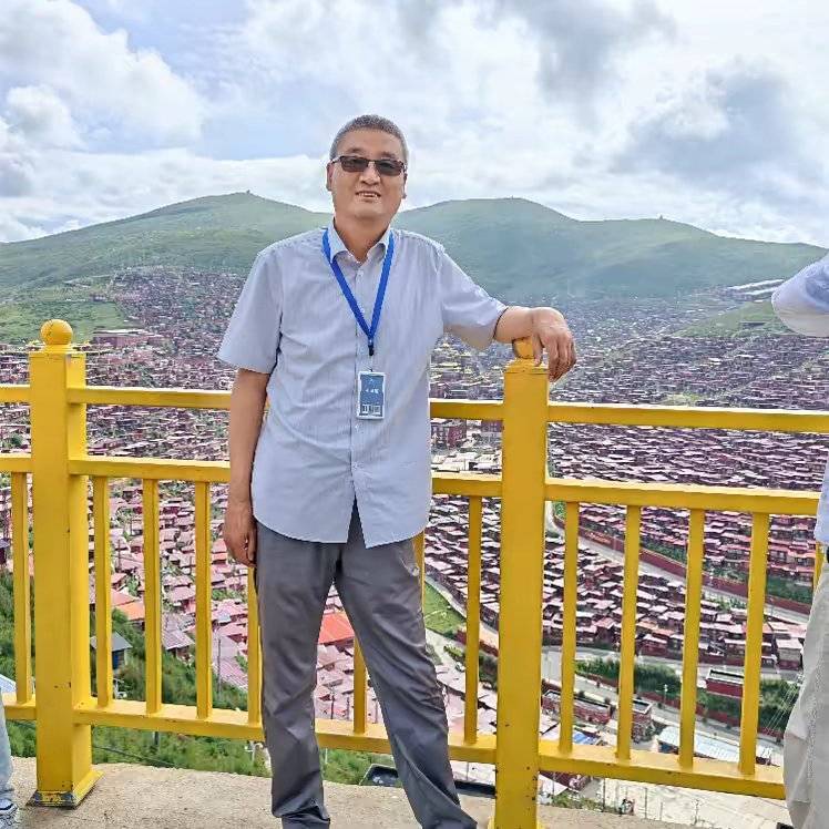 萝卜的简单生活