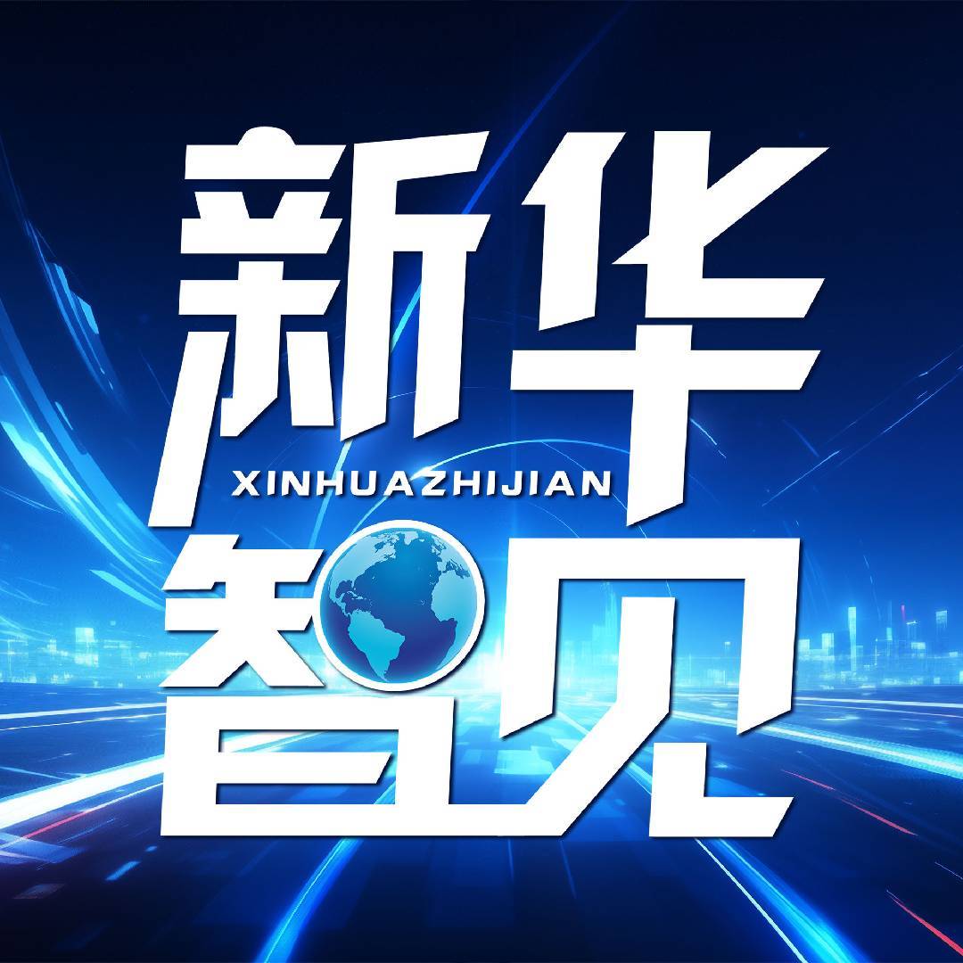 新华智见