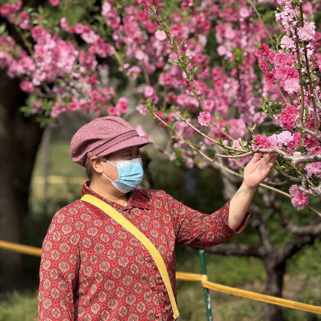 三岁娜拉