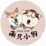 两只小狗六
