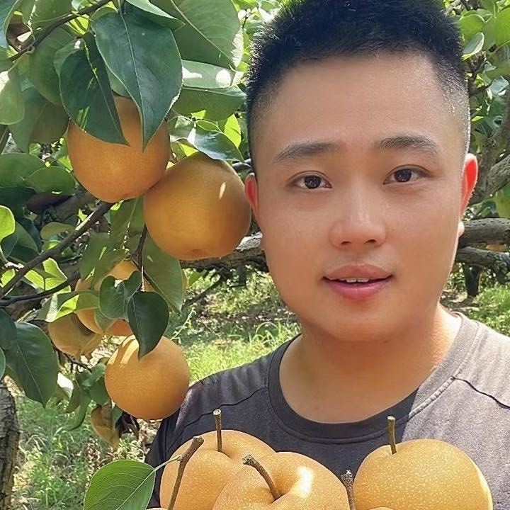 阿林农家菜a