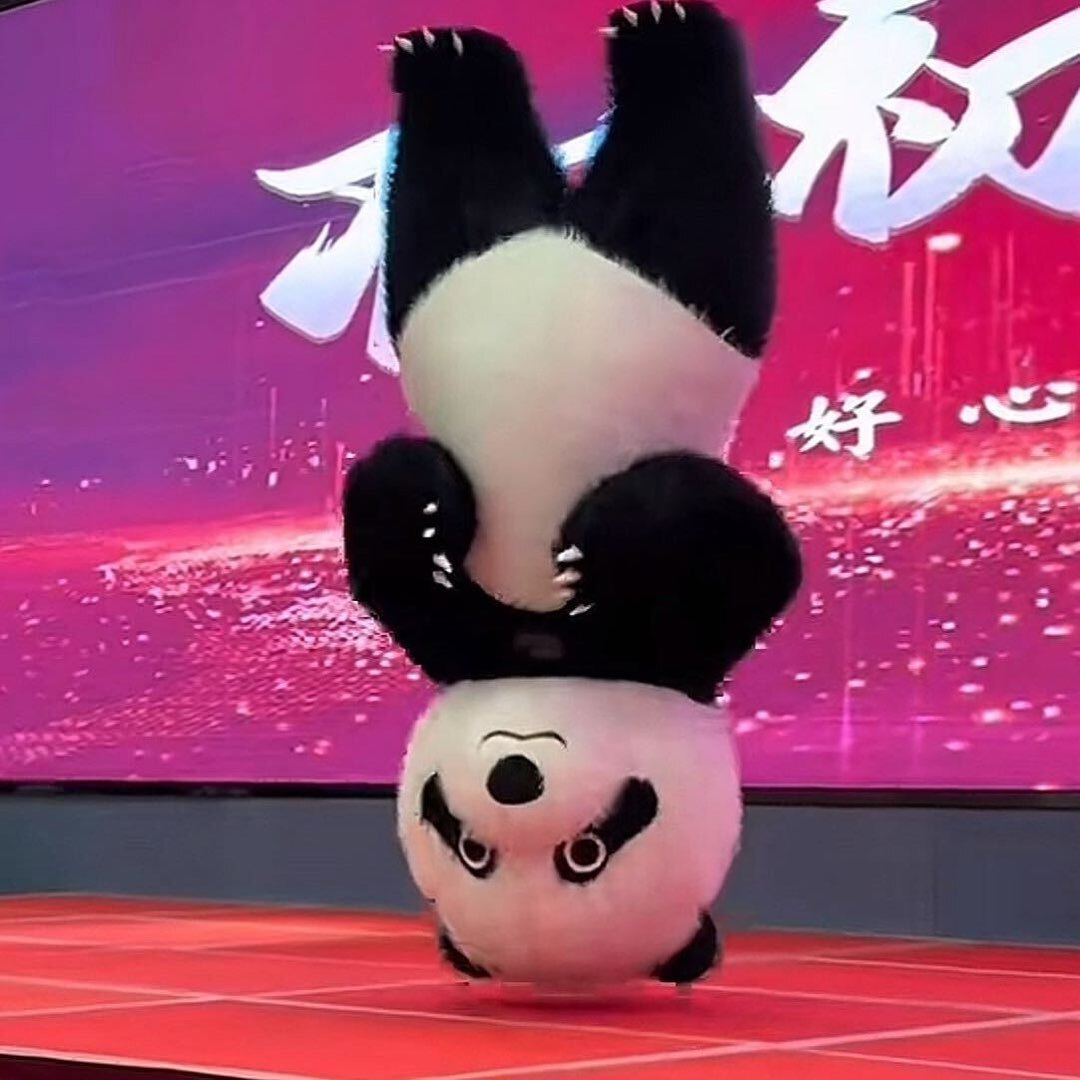 会跳舞的功夫熊猫