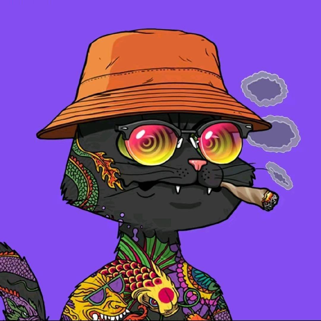 猫腻OoO