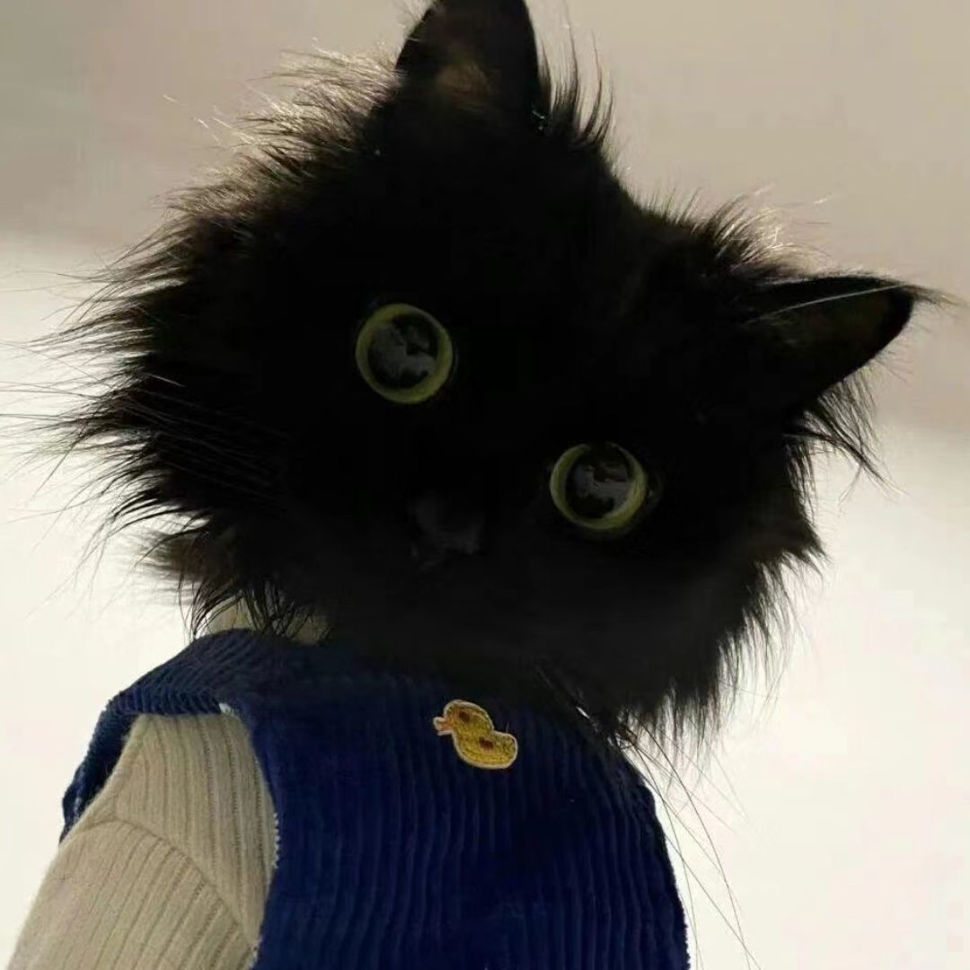 小小one丸