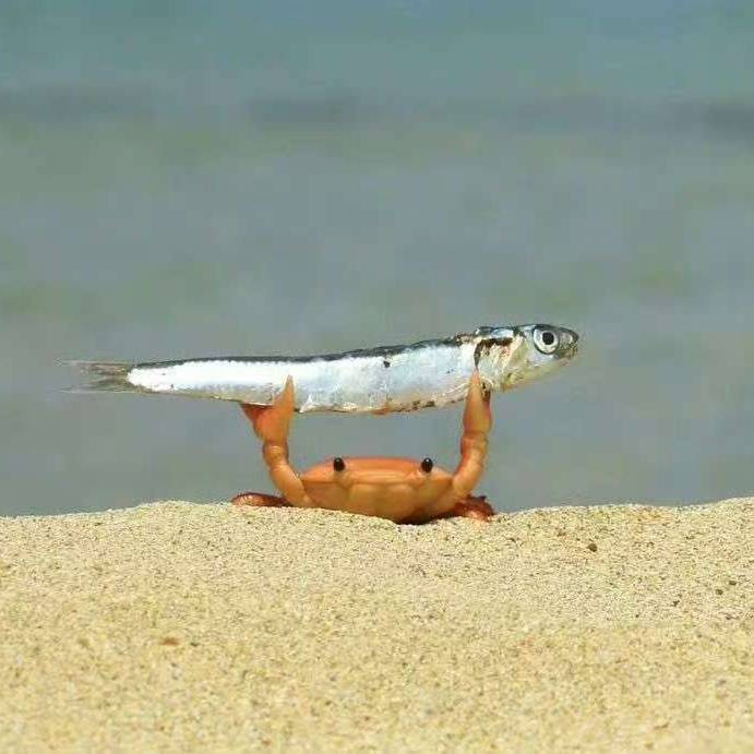 撸铁时刻