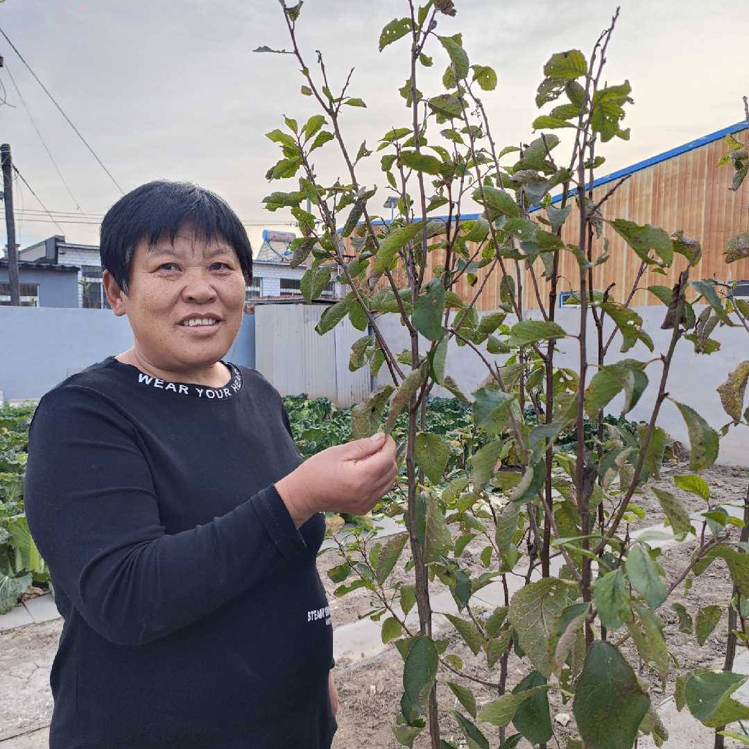 视频号三农排行榜第8名undefined,新榜指数750.7,新增作品数1,总推荐数5665,平均推荐数5665,最高推荐数5665