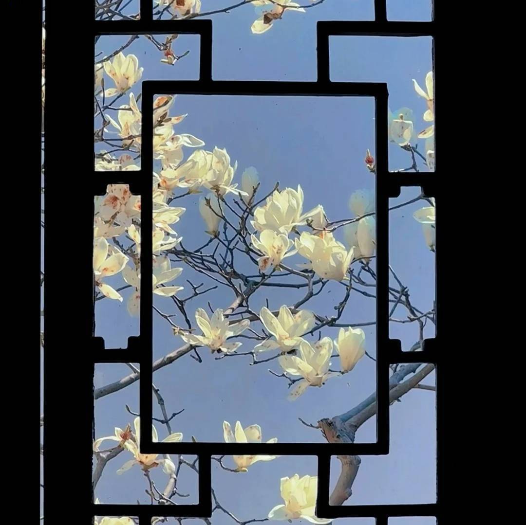 古典东方