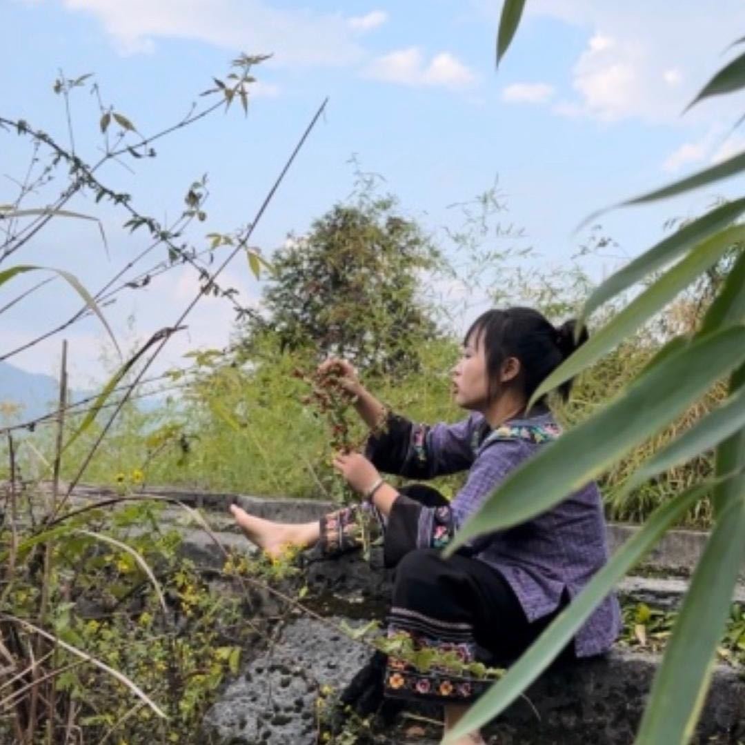 思乡人欧艺