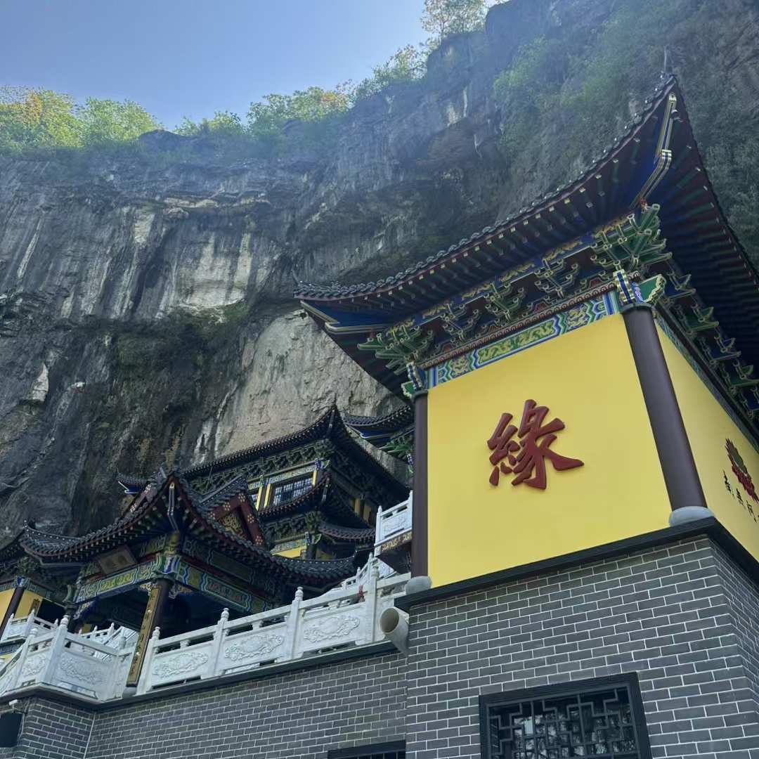境鸿回眸