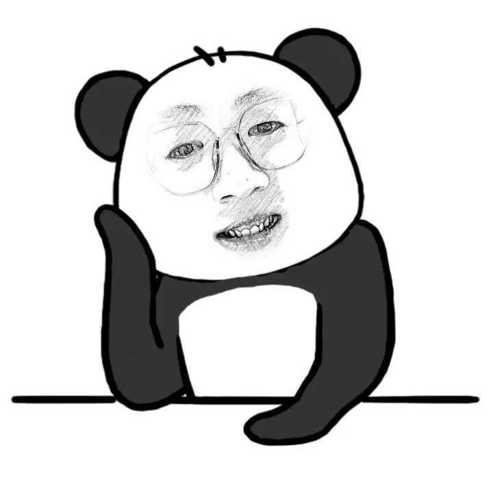 爱搞怪的熊猫君