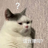 洋洋说娱