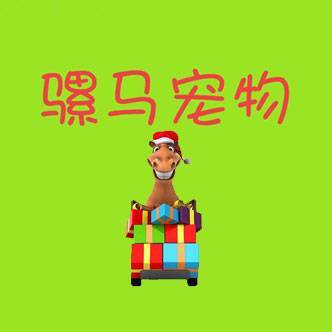 骡马爱宠