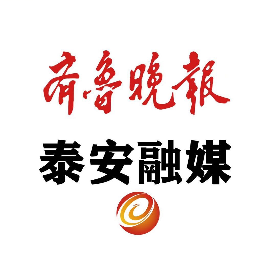 大众望岳A