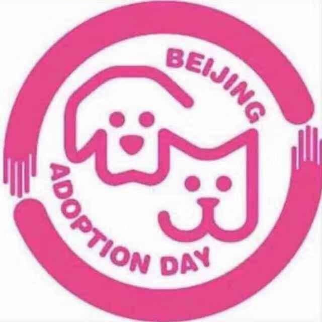 北京领养日LYR