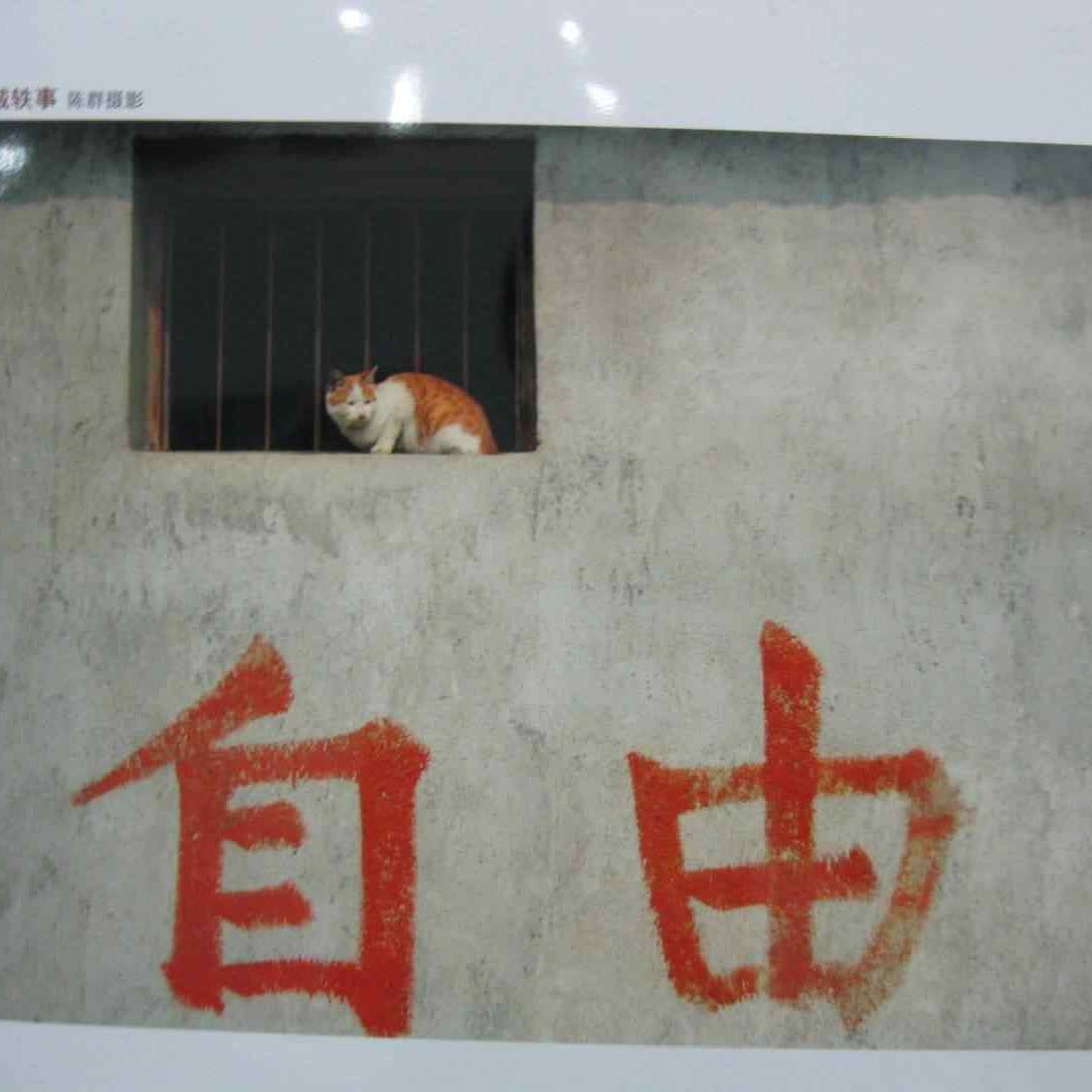 大宇新说