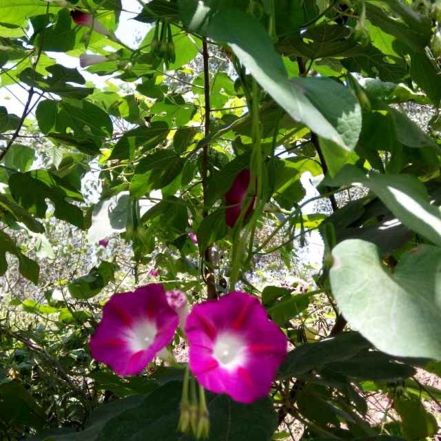 只是因为有你而精彩