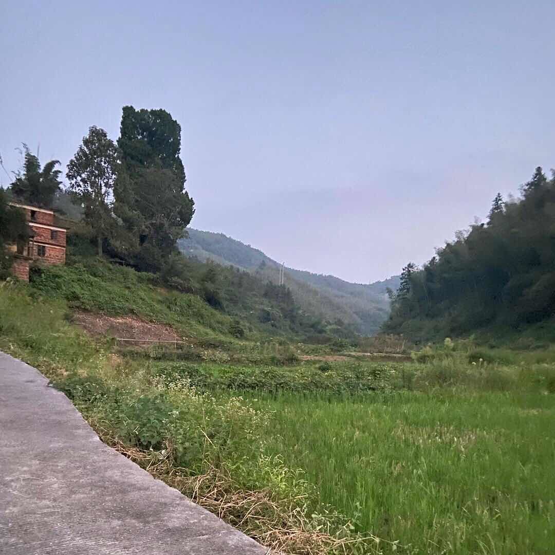 山村小哈22