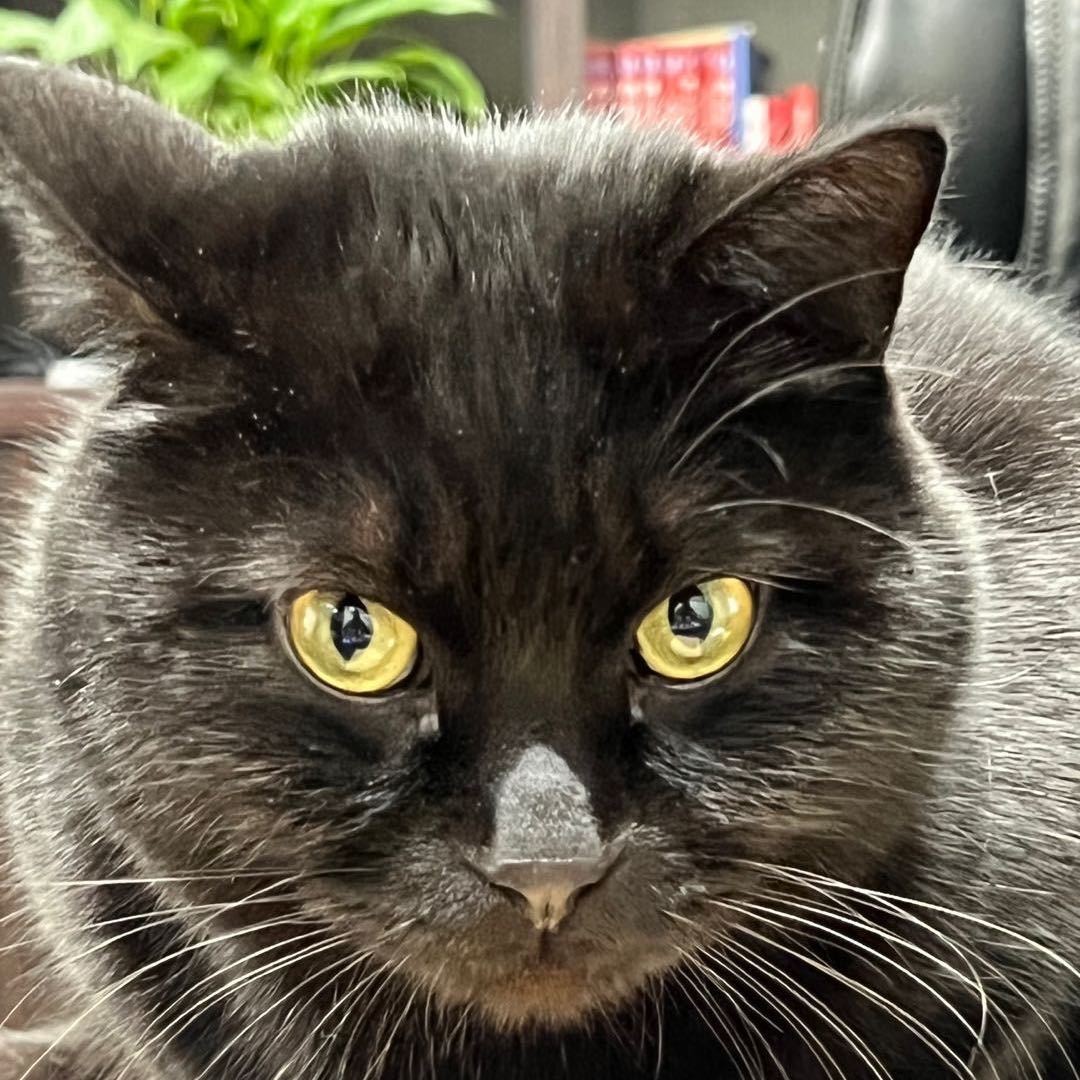 相邦品牌运营小陶哥