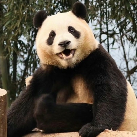 福木兰