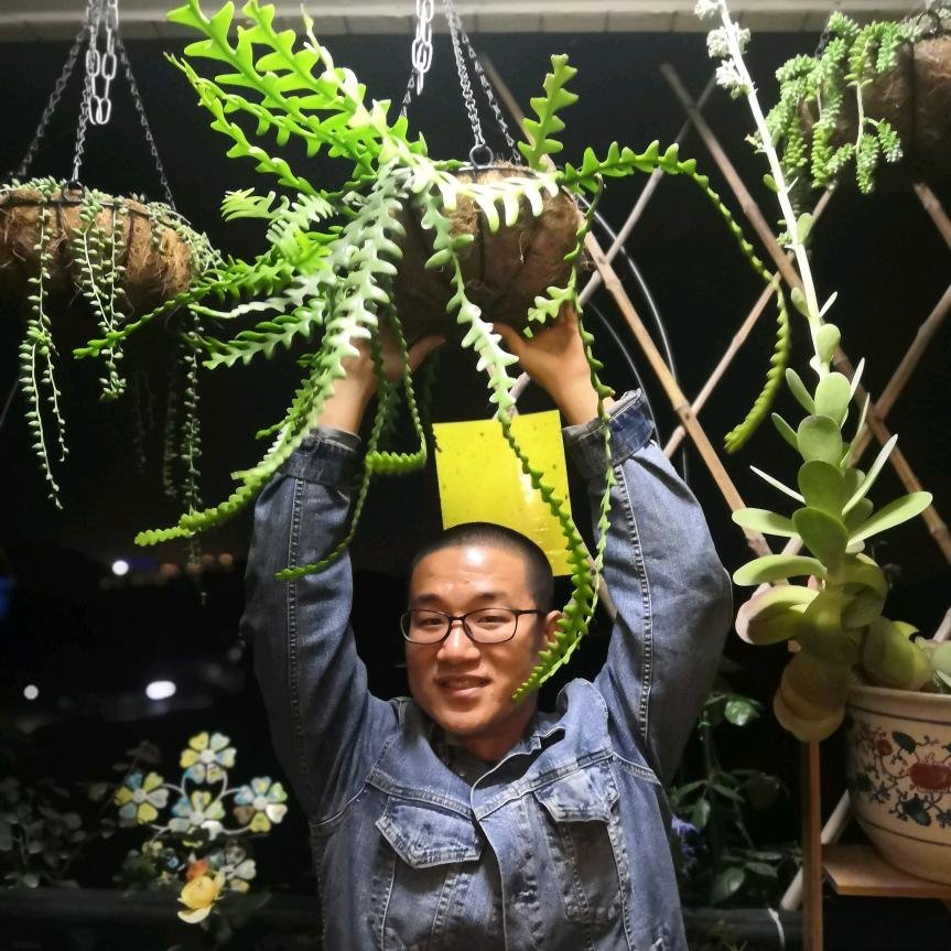 安可与植物