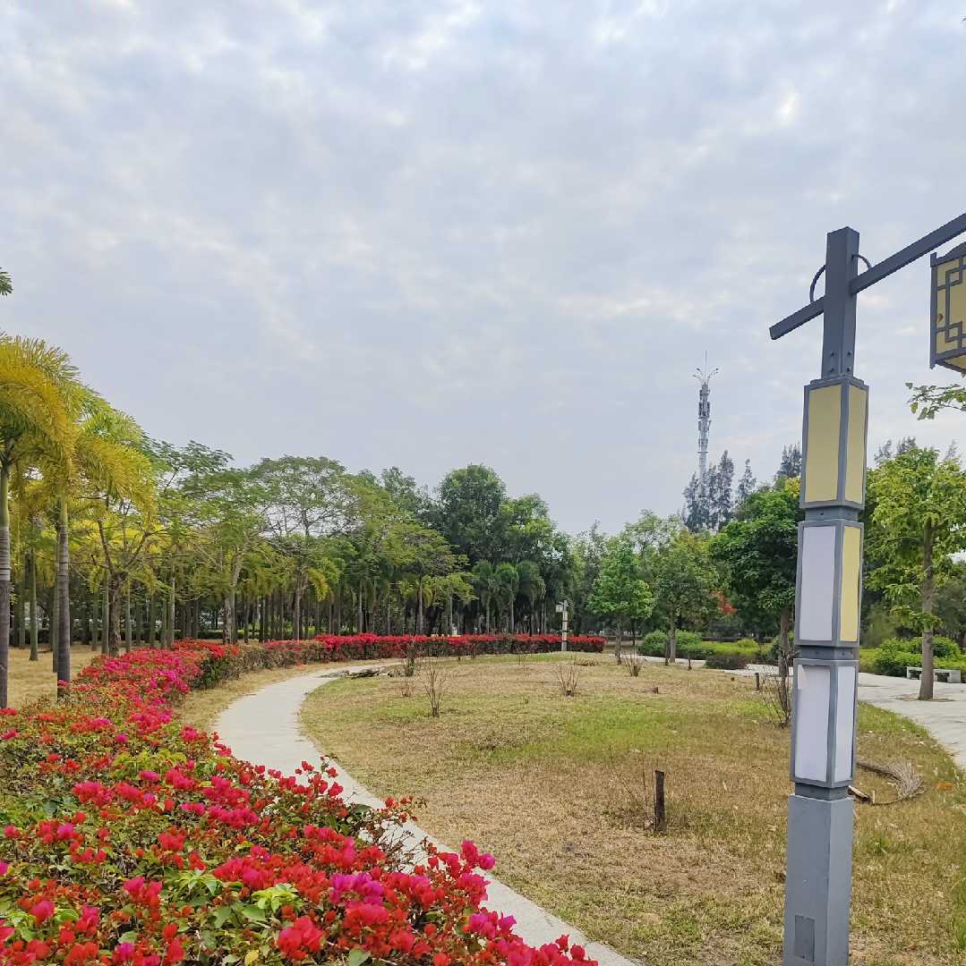 峻峻玩AI绘画