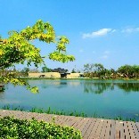 小龙哥来帮忙