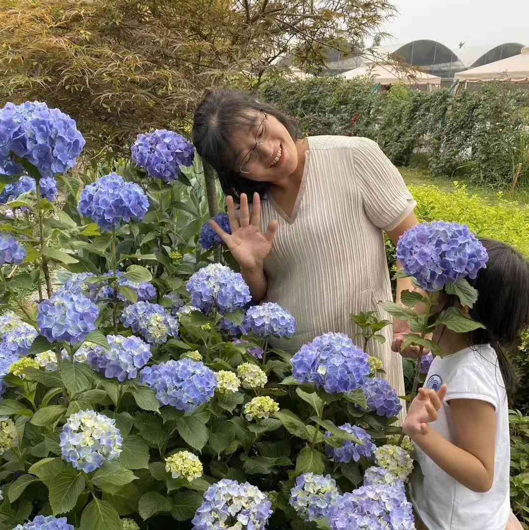 海蒂的花园