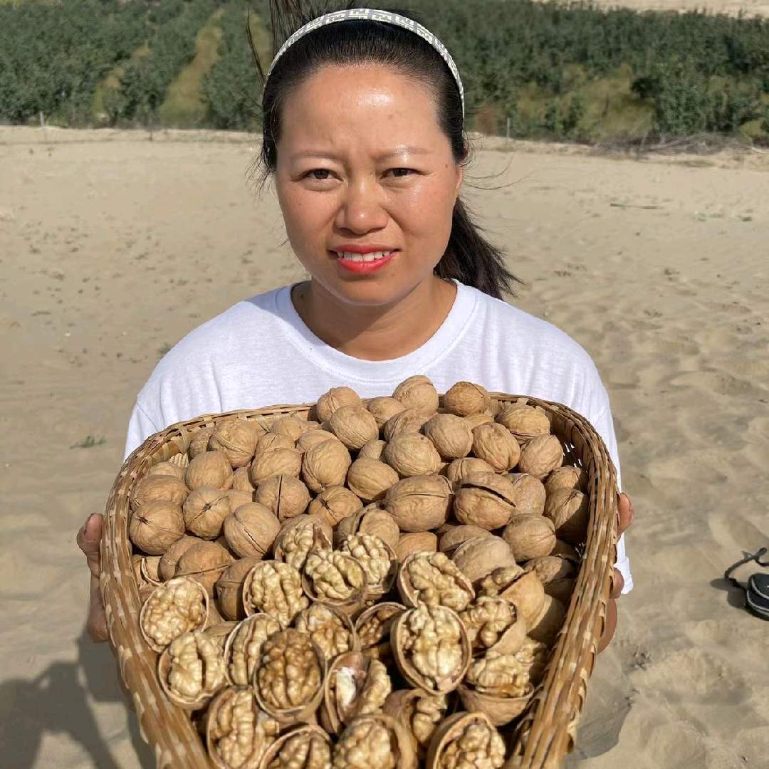 燕燕新疆特产