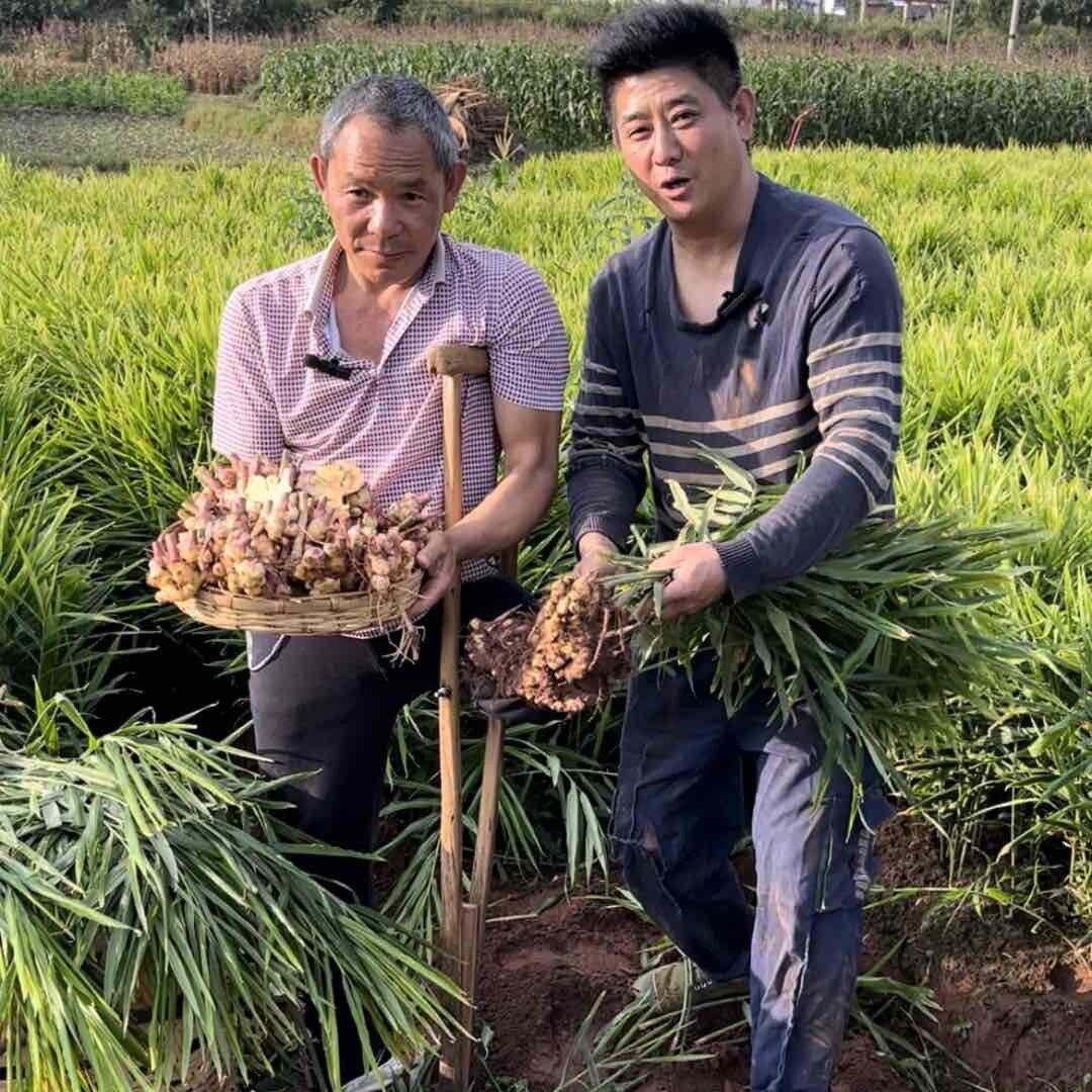农家小孙生鲜