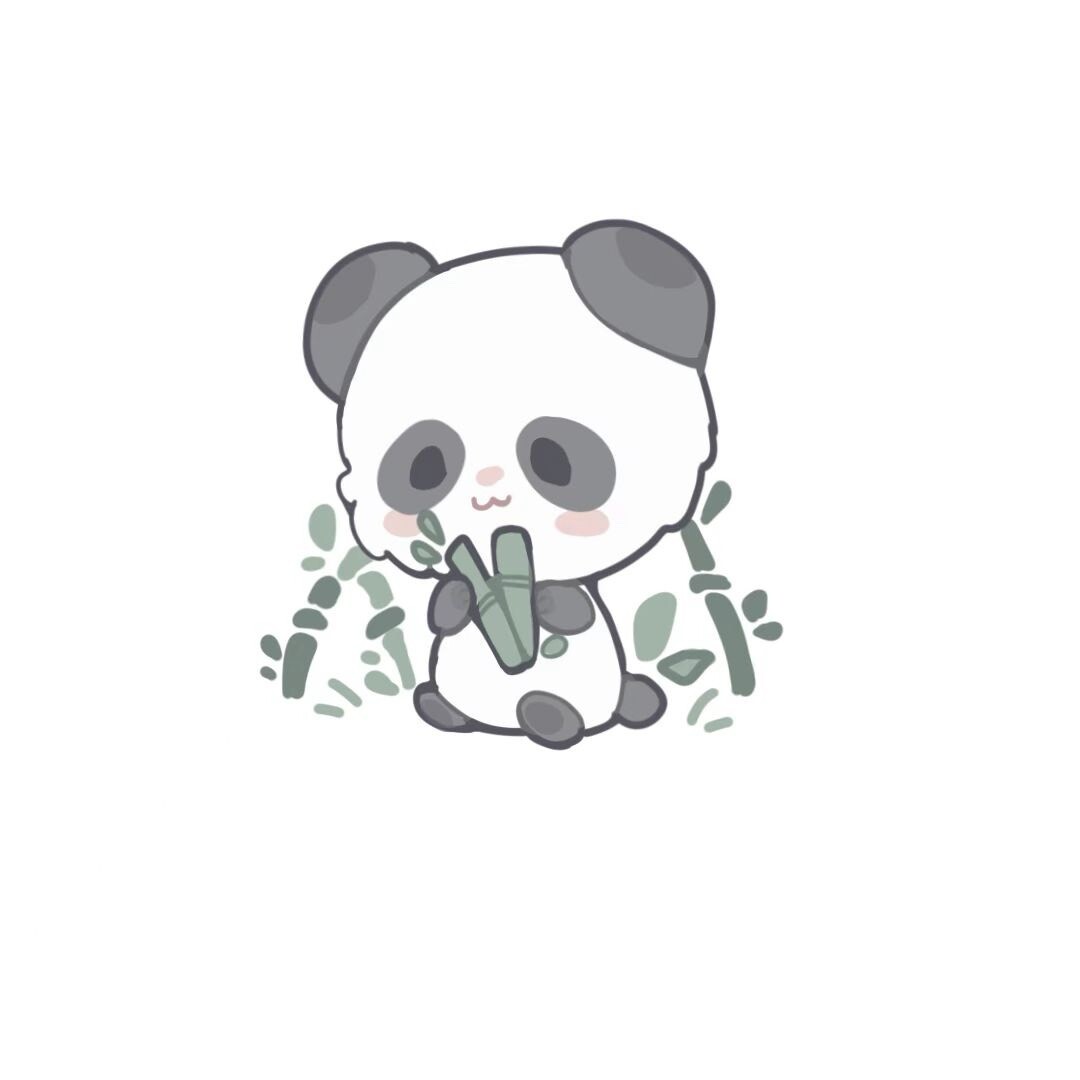 社恐熊猫儿