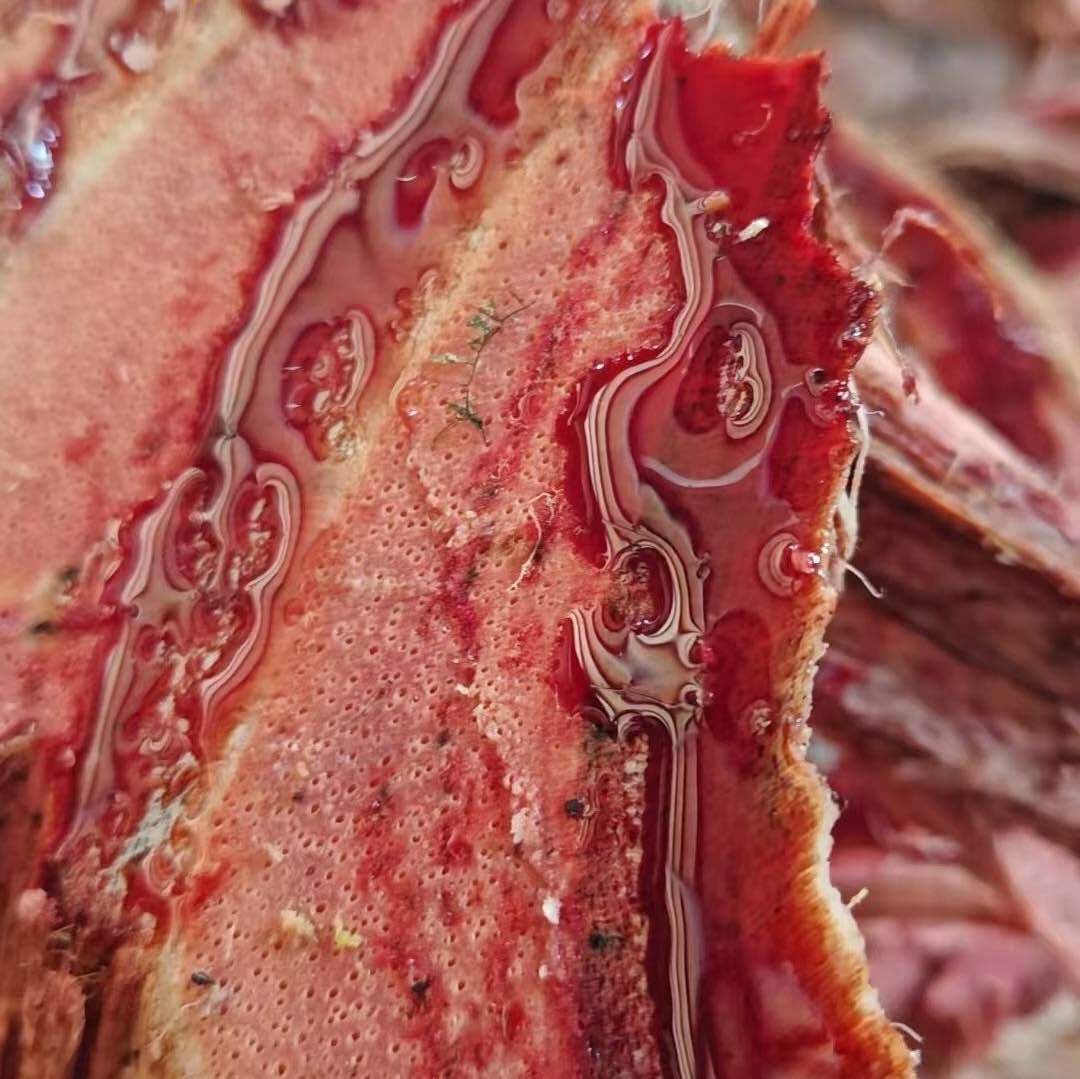 茶小三.清雅茶夫