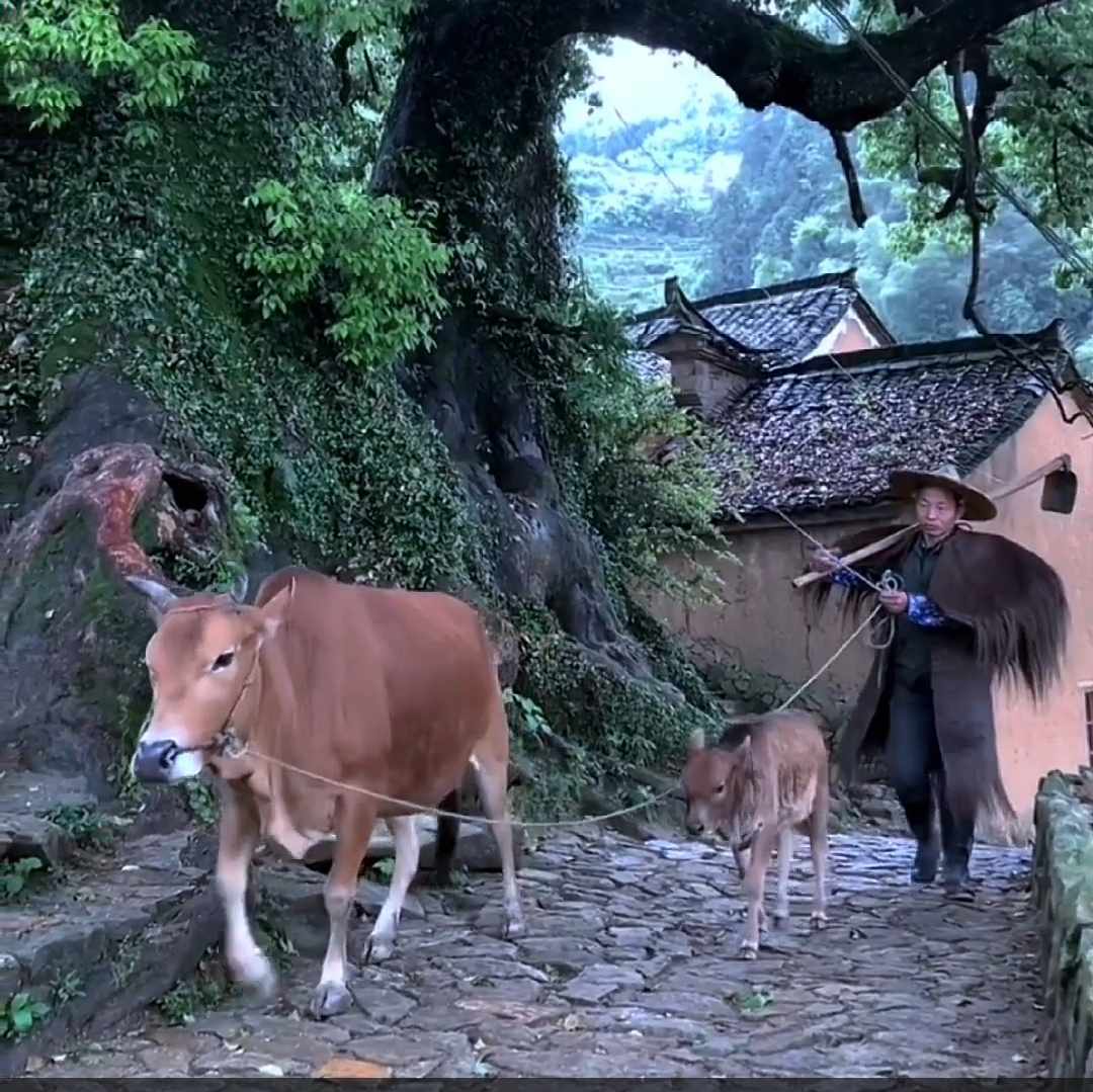 一方丿凈土
