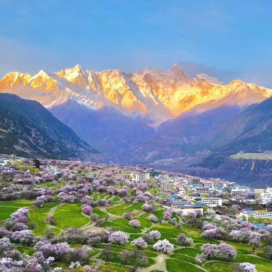 南迦巴瓦大本营主理人