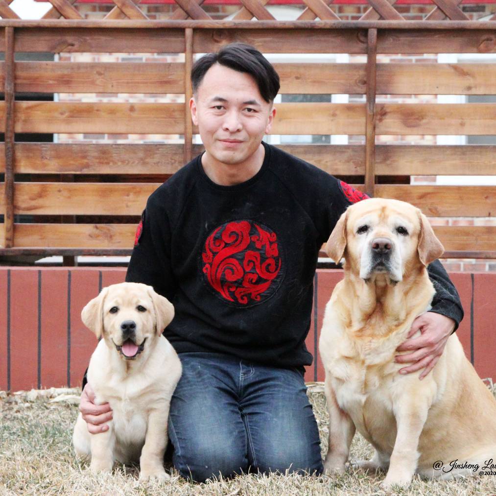 金圣拉布拉多Kennel