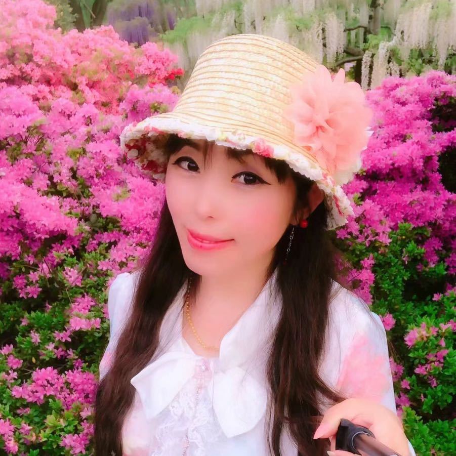 美摄安然