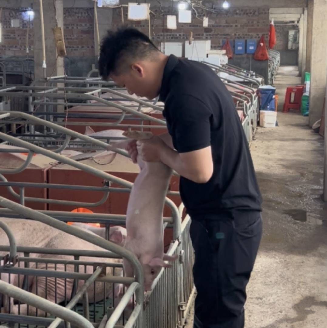 养猪的平凡人在线服务